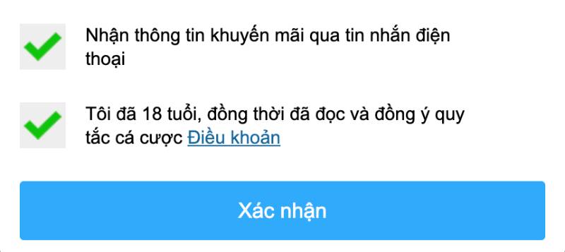 Chấp Nhận Điều Khoản Sử Dụng Và Hoàn Tất Xác Nhận